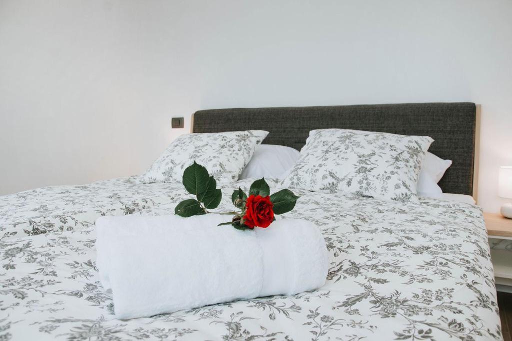 קובאריד Apartmaji Ursic מראה חיצוני תמונה